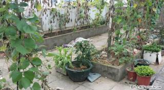 龙隐学区！施家园【隐龙居】精装绝版两层正宗复式带独用天面 185万 - 桂林28生活网 www.28life.com