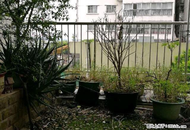 七星区 三里店 东方大厦 3室 2厅2卫 175平方 125万 - 房屋出售 - 房屋租售 - 桂林分类信息 - 桂林28生活网 www.28life.com