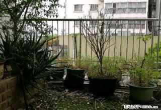 七星区 三里店 东方大厦 3室 2厅2卫 175平方 125万 - 桂林28生活网 www.28life.com