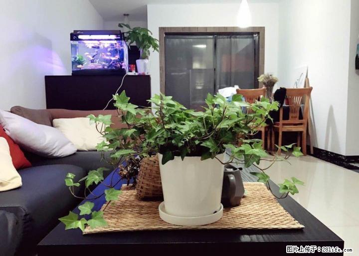 万正西区国际 2室2厅1卫80平米62万5楼 - 房屋出售 - 房屋租售 - 桂林分类信息 - 桂林28生活网 www.28life.com