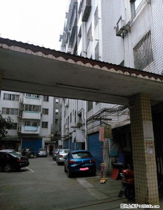 红岭路琴潭三小区东安街法院 3室2厅2卫 132平4楼67万 - 房屋出售 - 房屋租售 - 桂林分类信息 - 桂林28生活网 www.28life.com