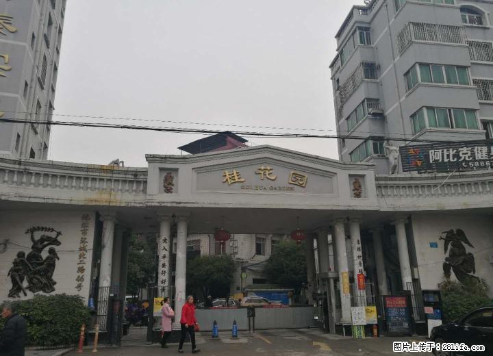 建干路桂花园两房一厅一卫64平米35万7楼天面可加 - 房屋出售 - 房屋租售 - 桂林分类信息 - 桂林28生活网 www.28life.com