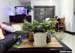 万正西区国际 2室2厅1卫80平米62万5楼 - 桂林28生活网 www.28life.com