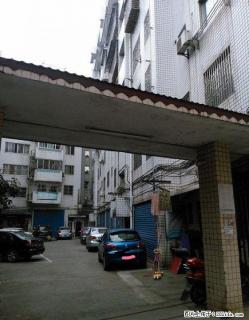 红岭路琴潭三小区东安街法院 3室2厅2卫 132平4楼67万 - 桂林28生活网 www.28life.com