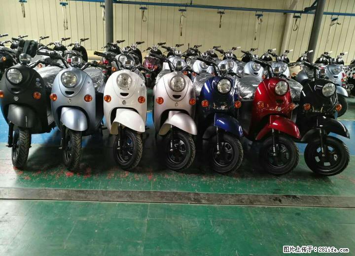 全桂林二手电动车最多的车行 499元起一台也是批发价 - 电动车 - 摩电单车 - 桂林分类信息 - 桂林28生活网 www.28life.com