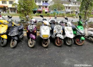 大量二手车   批发零售   新车一台也是批发价  0首付分期 - 桂林28生活网 www.28life.com