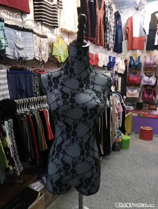 女装实木架模特蕾丝打底 - 其它 - 服装服饰 - 桂林分类信息 - 桂林28生活网 www.28life.com