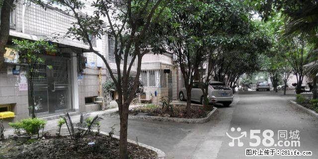 龙隐学区房,三里店家乐城旁桂山宿舍 1房1厅出售27万51平方 - 房屋出售 - 房屋租售 - 桂林分类信息 - 桂林28生活网 www.28life.com