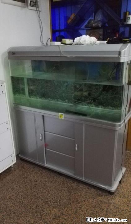 漂亮的大鱼缸一个，低价转让，接刀 - 宠物食品 - 宠物信息 - 桂林分类信息 - 桂林28生活网 www.28life.com
