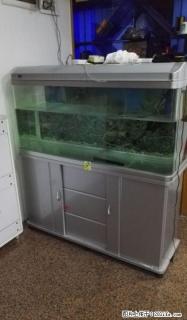 漂亮的大鱼缸一个，低价转让，接刀 - 桂林28生活网 www.28life.com
