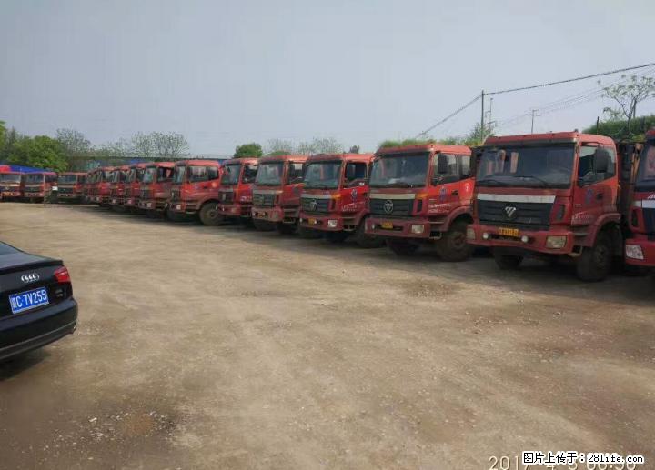 欧曼前四后八自卸车|欧曼工程车|欧曼自卸车 - 客货车 - 汽车频道 - 桂林分类信息 - 桂林28生活网 www.28life.com