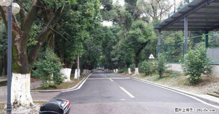 七星公园旁 龙隐小区 老干所黄金3楼3房带3个杂物间免费物业免费停车 - 房屋出售 - 房屋租售 - 桂林分类信息 - 桂林28生活网 www.28life.com