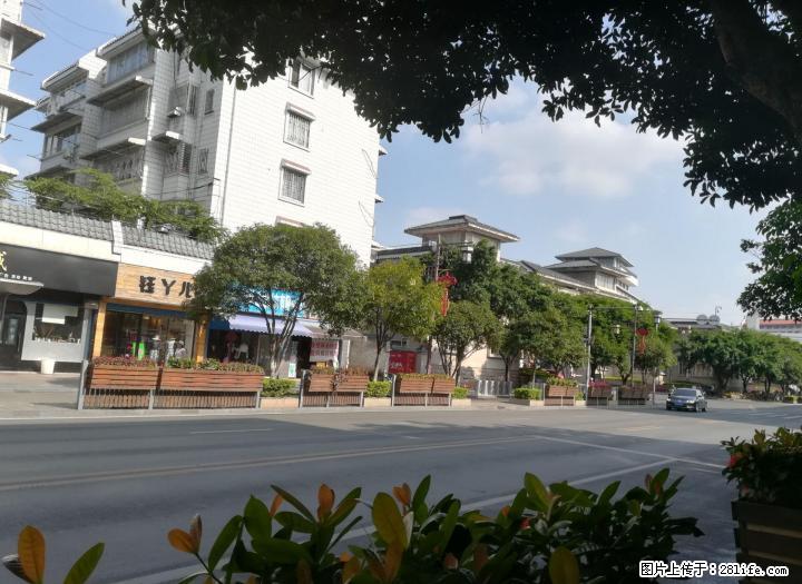 【旺铺 出售】信义路师专旁临街旺铺30平米 100万 - 商铺租转 - 房屋租售 - 桂林分类信息 - 桂林28生活网 www.28life.com