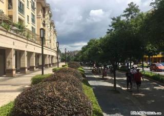 【旺铺出售】东晖国际正大街旺铺原价2万七现价一万四起 - 桂林28生活网 www.28life.com