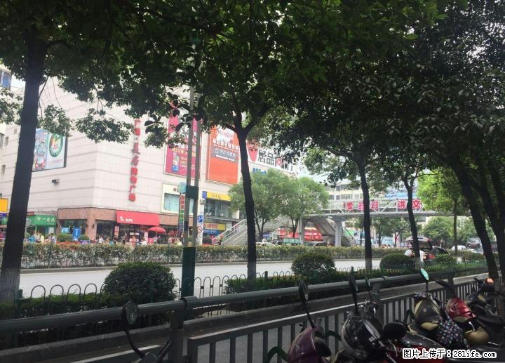 A旺铺急售！即买即收租！沃尔玛当大街192平米上下二层320万 - 房屋出售 - 房屋租售 - 桂林分类信息 - 桂林28生活网 www.28life.com