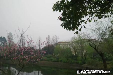 A.临桂麒麟湾湖景大别墅占地近900平米产权480平方售价620万价可谈！ - 房屋出售 - 房屋租售 - 桂林分类信息 - 桂林28生活网 www.28life.com