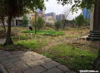 A. 临桂【山水凤凰城】独栋别墅出售 - 桂林28生活网 www.28life.com