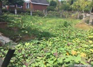 A.占地一亩超大花园！三金庄园 独栋大别墅 460万 - 桂林28生活网 www.28life.com