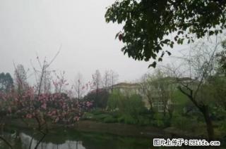 A.临桂麒麟湾湖景大别墅占地近900平米产权480平方售价620万价可谈！ - 桂林28生活网 www.28life.com