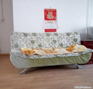 低价转让两个布艺沙发，一个懒人沙发 - 桂林28生活网 www.28life.com