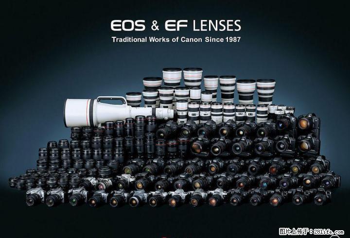 高价回收置换佳能、尼康、索尼等各类单反相机、镜头，摄影灯具、脚架、附件等 - 数码相机 - 数码产品 - 桂林分类信息 - 桂林28生活网 www.28life.com