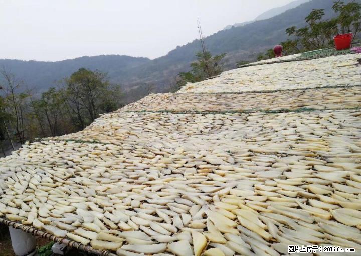 全州白宝高山富硒精品红薯干---还是小时候的味道，老品种老做法 - 礼品刀具 - 特色礼品 - 桂林分类信息 - 桂林28生活网 www.28life.com