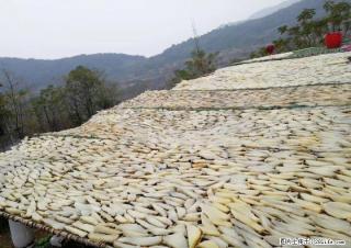 全州白宝高山富硒精品红薯干---还是小时候的味道，老品种老做法 - 桂林28生活网 www.28life.com