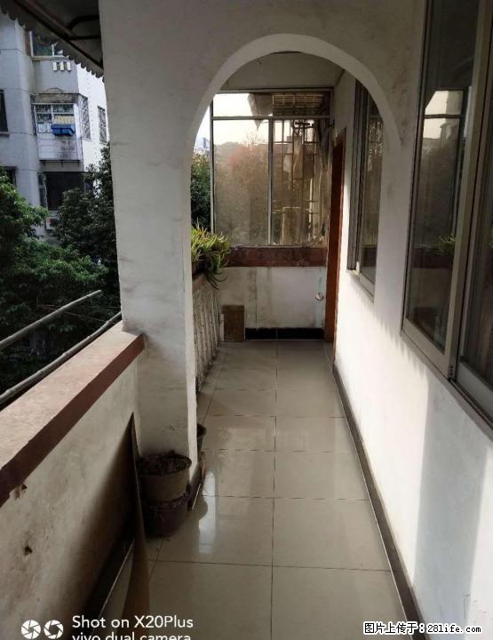 急售 榕湖学区 桂林中学双学区房 四楼 仅售 47万 - 房屋出售 - 房屋租售 - 桂林分类信息 - 桂林28生活网 www.28life.com