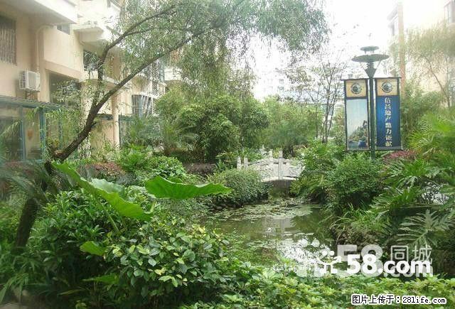 出售,信昌碧水康城,3房2厅2卫,121平米,5楼,79万急售,清水房 - 房屋出售 - 房屋租售 - 桂林分类信息 - 桂林28生活网 www.28life.com