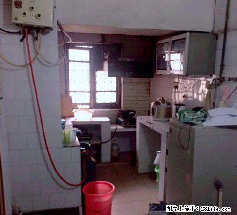 急租 信义路 3楼 精装修 南北朝向 一年起租 都是新装修 没住过 三楼是个大平台 方便 - 房屋出租 - 房屋租售 - 桂林分类信息 - 桂林28生活网 www.28life.com