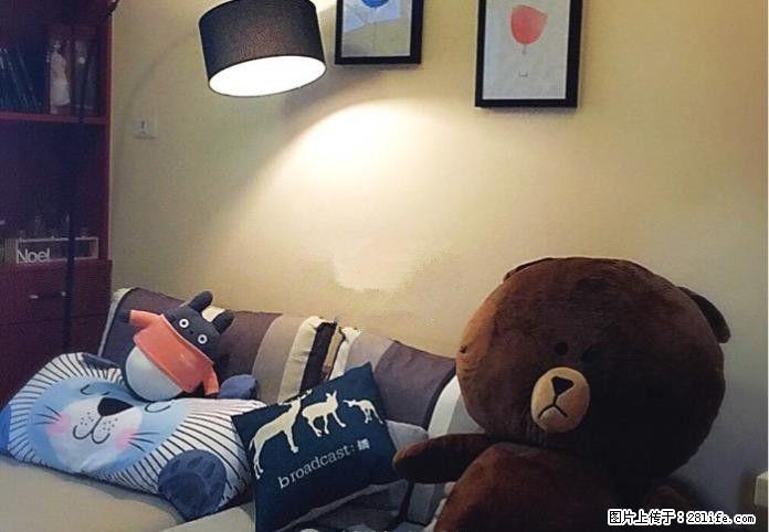 0七星区东岸枫景 1室1厅1卫 电梯8楼 60平米 豪装 1900元 - 房屋出租 - 房屋租售 - 桂林分类信息 - 桂林28生活网 www.28life.com