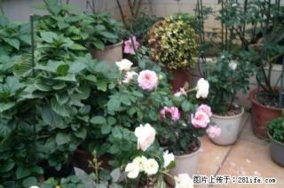 T万达商圈黄 金屋联体别墅 带花园双露台 300万 - 桂林28生活网 www.28life.com