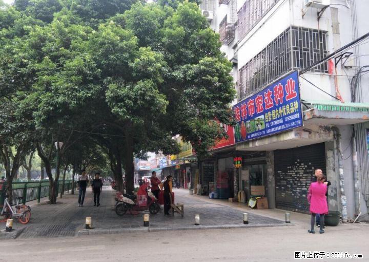 T花鸟市场旁人潮密集当街旺铺37平仅售85万 - 商铺租转 - 房屋租售 - 桂林分类信息 - 桂林28生活网 www.28life.com