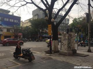 T铁西当街建材门面50?年租7.8万仅售165万 - 桂林28生活网 www.28life.com