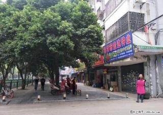 T花鸟市场旁人潮密集当街旺铺37平仅售85万 - 桂林28生活网 www.28life.com