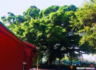 T榕湖边古南门旁精装单间配套租金1600可短租 - 桂林28生活网 www.28life.com