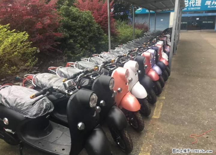 全场油车电动车都可0首付,不用一分钱,爱车开回家 - 摩托车 - 摩电单车 - 桂林分类信息 - 桂林28生活网 www.28life.com