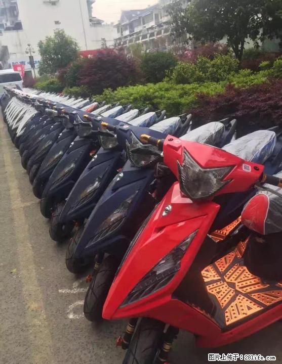 全场电车,油车,三轮车都可0首付,不用先给一分钱,车子开回家 - 电动车 - 摩电单车 - 桂林分类信息 - 桂林28生活网 www.28life.com