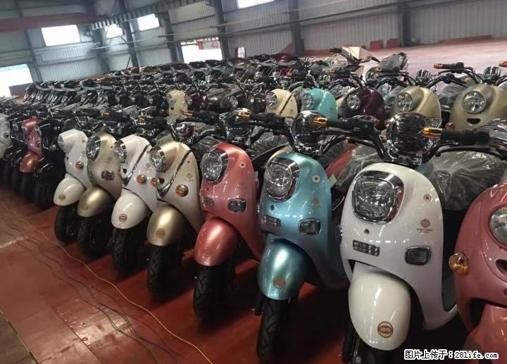 桂林市区最大品种最全的二手电动车车行 - 电动车 - 摩电单车 - 桂林分类信息 - 桂林28生活网 www.28life.com