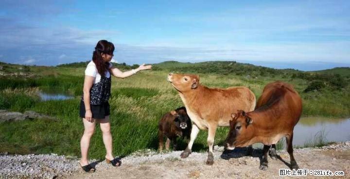 土地出租或寻求合作15907832259 - 其它 - 房屋租售 - 桂林分类信息 - 桂林28生活网 www.28life.com