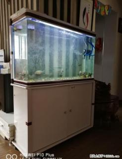 出售一个1米玻璃鱼缸带柜子 - 桂林28生活网 www.28life.com