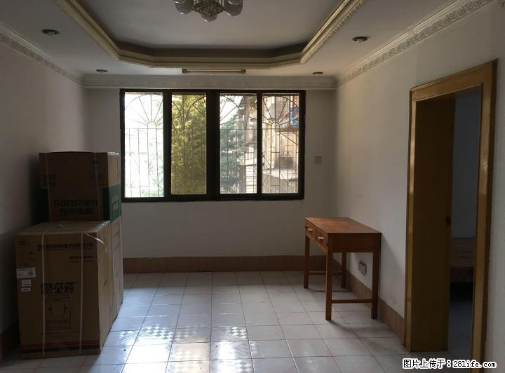 H市中心机关大院 2楼 2房1厅 全新家电 60平 1900元 - 房屋出租 - 房屋租售 - 桂林分类信息 - 桂林28生活网 www.28life.com