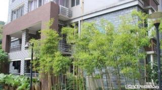 急售优质香江漫步100平米电梯3房2厅1卫仅售70万 - 桂林28生活网 www.28life.com