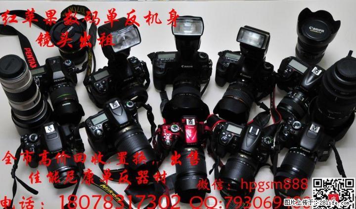 全市高价回收佳能,尼康单反器材及出租 - 数码相机 - 数码产品 - 桂林分类信息 - 桂林28生活网 www.28life.com