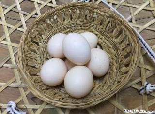 正宗龙胜凤鸡农家土鸡蛋 - 桂林28生活网 www.28life.com