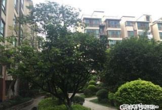 @湖光山色 景观2房2厅2卫 86? 清水房 55万 大两房诚售 55万 - 桂林28生活网 www.28life.com