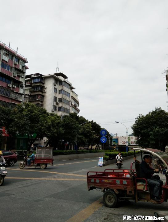 市中心 秀峰 丽君路写字楼400平方300万 - 写字楼 - 房屋租售 - 桂林分类信息 - 桂林28生活网 www.28life.com