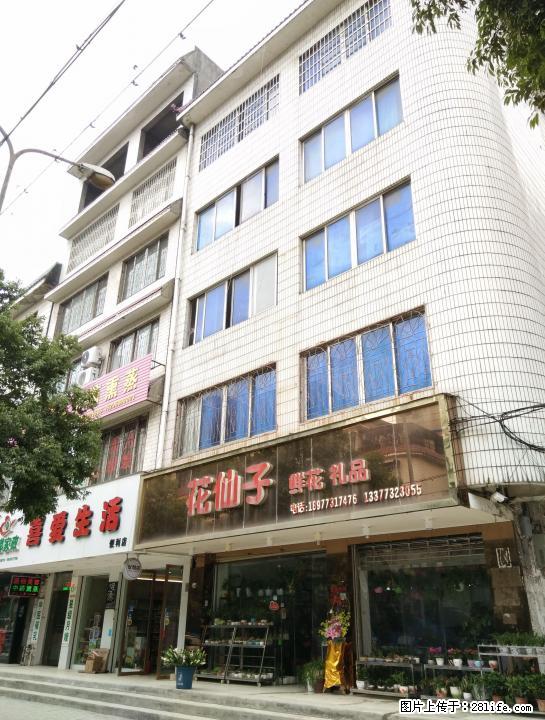 八里街川东一路大市场旁繁华路段整栋楼560平方280万 - 商铺租转 - 房屋租售 - 桂林分类信息 - 桂林28生活网 www.28life.com