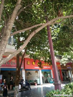 秀峰信义路师专、榕湖饭店旁临街门面42平方98万 - 桂林28生活网 www.28life.com