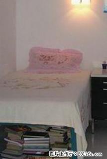 简便单人铁架床，带床板（长2米、宽1米、高0.5米）100元。 - 桂林28生活网 www.28life.com